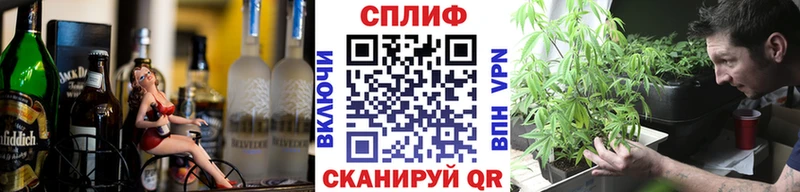 Конопля OG Kush  Пионерский 